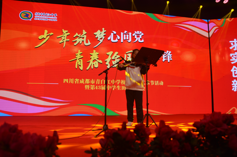 “少年筑梦心向党，青春强国我争锋”
